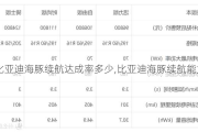 比亚迪海豚续航达成率多少,比亚迪海豚续航能力