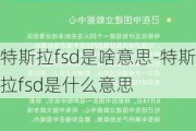 特斯拉fsd是啥意思-特斯拉fsd是什么意思