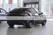 特斯拉新款15万左右SUV-特斯拉15万左右的车