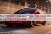 特斯拉新能源价格表30万左右车_特斯拉新能源价格表30万左右车型有哪些