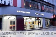 比亚迪新能源汽车专卖店在那里-比亚迪新能源销售网点