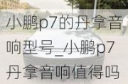 小鹏p7的丹拿音响型号_小鹏p7丹拿音响值得吗