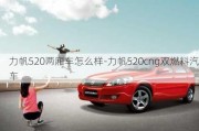 力帆520两厢车怎么样-力帆520cng双燃料汽车