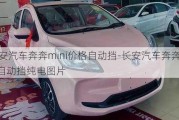 长安汽车奔奔mini价格自动挡-长安汽车奔奔mini自动挡纯电图片