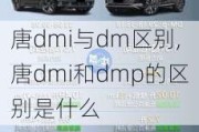 唐dmi与dm区别,唐dmi和dmp的区别是什么