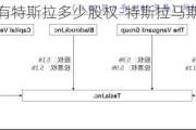 马斯克有特斯拉多少股权-特斯拉马斯克股权