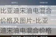 比亚迪宋油电混合价格及图片-比亚迪宋油电混合价格