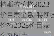 特斯拉价格2023价目表全系-特斯拉价格2023价目表全系图片