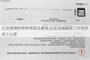 比亚迪海豹保养周期及费用,比亚迪海豚第二次保养多少公里