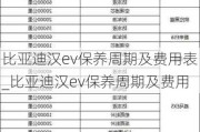 比亚迪汉ev保养周期及费用表_比亚迪汉ev保养周期及费用