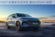 唐dm2021款最新改进消息,唐dmi2024小改款