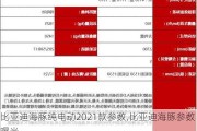 比亚迪海豚纯电动2021款参数,比亚迪海豚参数曝光