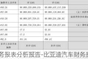 比亚迪财务报表分析报告-比亚迪汽车财务报表