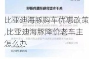 比亚迪海豚购车优惠政策,比亚迪海豚降价老车主怎么办