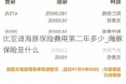 比亚迪海豚保险费用第二年多少_海豚保险是什么