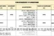 比亚迪海豚保养费用明细表查询,比亚迪海豚电池终身包换吗