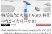 特斯拉fsd功能下放ap-特斯拉fsd包含哪些功能