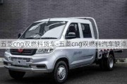 五菱cng双燃料货车-五菱cng双燃料汽车缺点