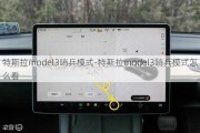 特斯拉model3哨兵模式-特斯拉model3哨兵模式怎么看