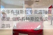 金华有特斯拉专卖店吗在哪里,金华有特斯拉专卖店吗