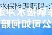 车辆被水淹没买涉水保险理赔吗-汽车涉水被淹,保险如何理赔?