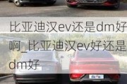 比亚迪汉ev还是dm好啊_比亚迪汉ev好还是dm好