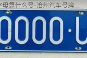 沧州牌照字母算什么号-沧州汽车号牌