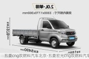 五菱cng双燃料汽车北京-五菱宏光cng双燃料汽车