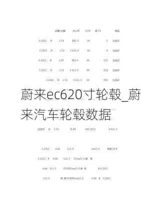 蔚来ec620寸轮毂_蔚来汽车轮毂数据