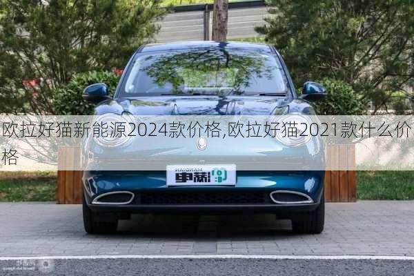 欧拉好猫新能源2024款价格,欧拉好猫2021款什么价格