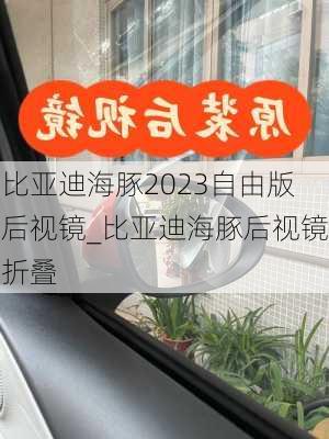 比亚迪海豚2023自由版后视镜_比亚迪海豚后视镜折叠