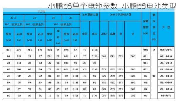 小鹏p5单个电池参数_小鹏p5电池类型