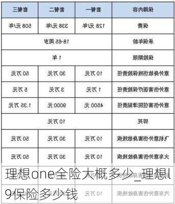 理想one全险大概多少_理想l9保险多少钱