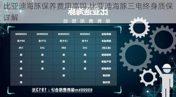比亚迪海豚保养费用高吗,比亚迪海豚三电终身质保详解