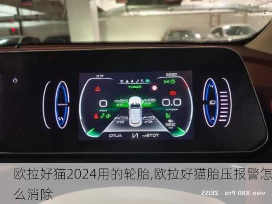 欧拉好猫2024用的轮胎,欧拉好猫胎压报警怎么消除