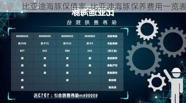 比亚迪海豚保值率_比亚迪海豚保养费用一览表