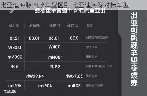 比亚迪海豚四款车型区别,比亚迪海豚对标车型