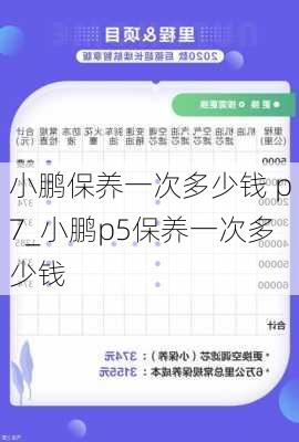 小鹏保养一次多少钱 p7_小鹏p5保养一次多少钱