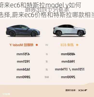 蔚来ec6和特斯拉model y如何选择,蔚来ec6价格和特斯拉哪款相当