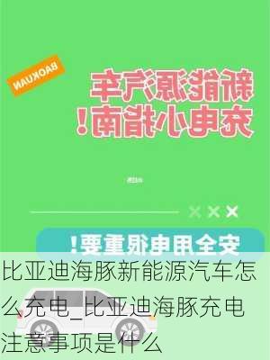 比亚迪海豚新能源汽车怎么充电_比亚迪海豚充电注意事项是什么