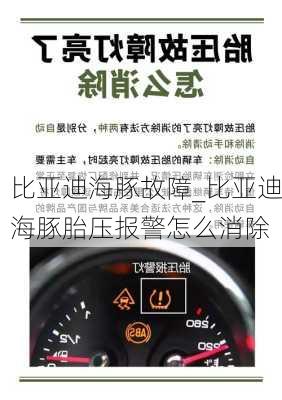 比亚迪海豚故障_比亚迪海豚胎压报警怎么消除