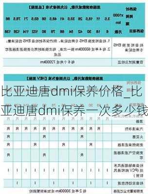 比亚迪唐dmi保养价格_比亚迪唐dmi保养一次多少钱