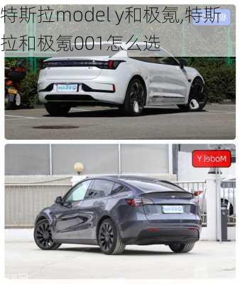 特斯拉model y和极氪,特斯拉和极氪001怎么选