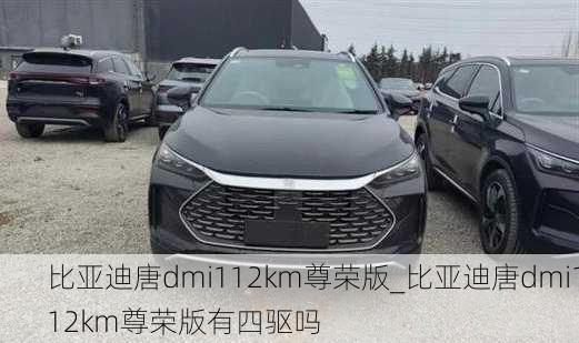 比亚迪唐dmi112km尊荣版_比亚迪唐dmi112km尊荣版有四驱吗