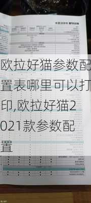 欧拉好猫参数配置表哪里可以打印,欧拉好猫2021款参数配置