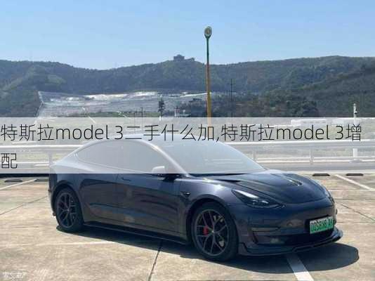 特斯拉model 3二手什么加,特斯拉model 3增配