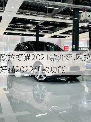 欧拉好猫2021款介绍,欧拉好猫2022新款功能