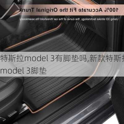 特斯拉model 3有脚垫吗,新款特斯拉model 3脚垫