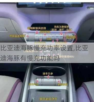 比亚迪海豚慢充功率设置,比亚迪海豚有慢充功能吗