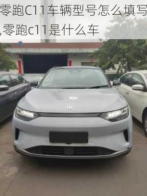 零跑C11车辆型号怎么填写,零跑c11是什么车